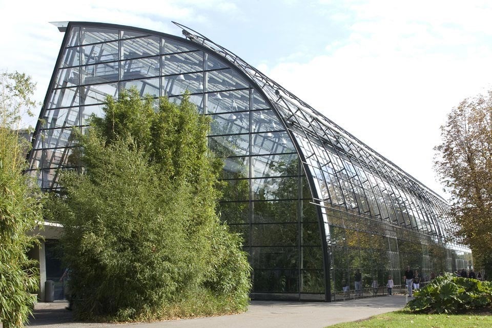 Amazonienhaus der Wilhelma in Stuttgart Glas