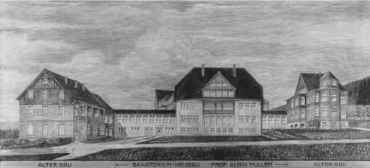 Der Gestaltung liegt die Idee zugrunde, zwei bereits auf dem Grundstück bestehende Villen durch einen zentralen Neubau zu verbinden