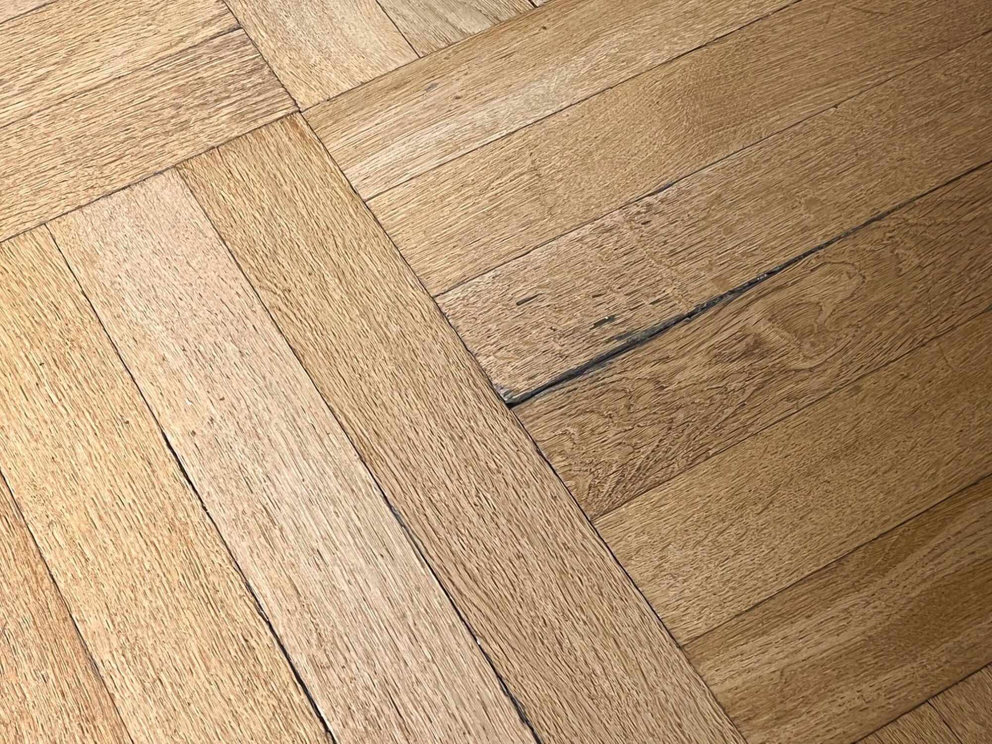 Auch die Faserrichtung – radial oder tangential – beeinflusst das Ausmaß der Verformung.