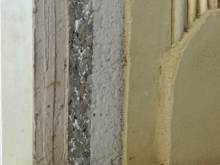 Schilfrohr kommt häufig in der sogenannten Röhrichtzone stehender und langsam fließender Gewässer vor