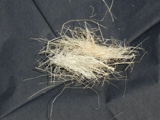 Sisalfaser