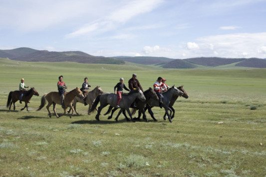 Pferde spielen eine wichtige Rolle im Leben der Mongolen