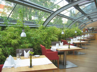 Bepflanzter Wintergarten mit Sonnenschutzglas