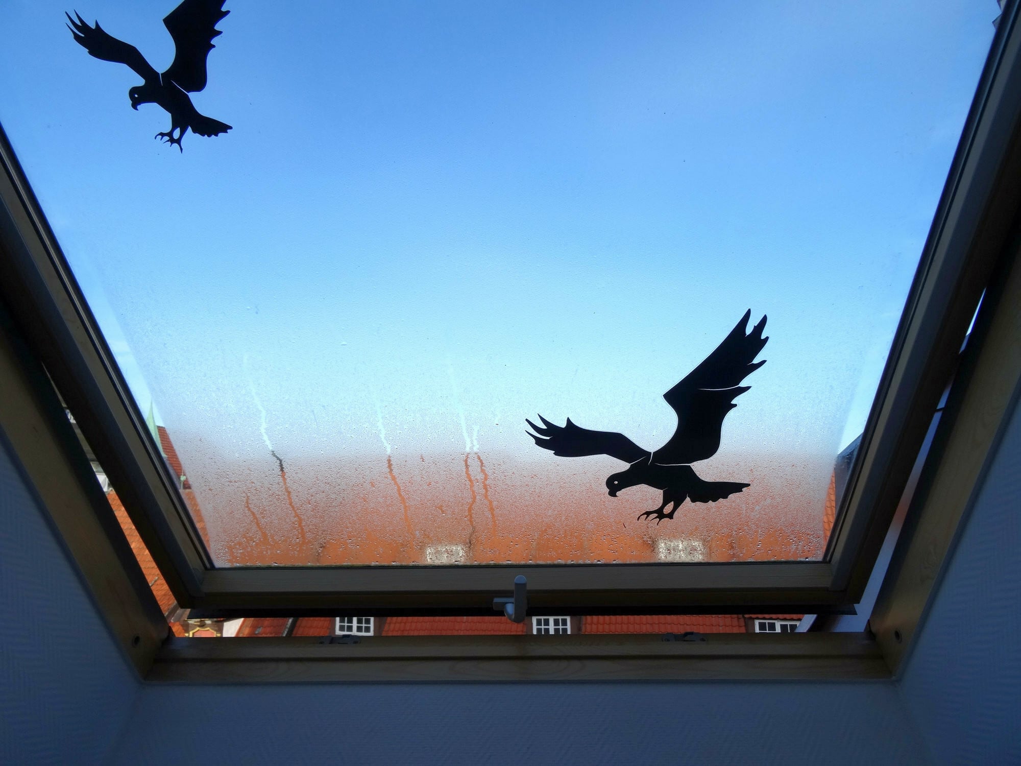 Kondensatbildung auf einem Dachflächenfenster