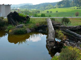 Wasserflächen werten eine begrünte Dachfläche auf.