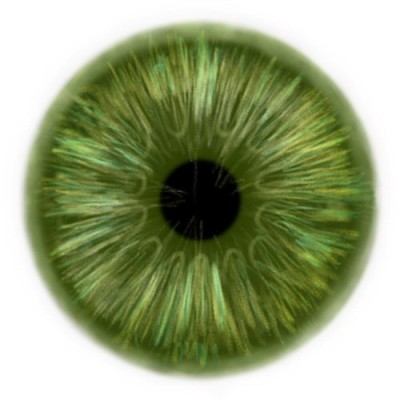 Menschliche Iris