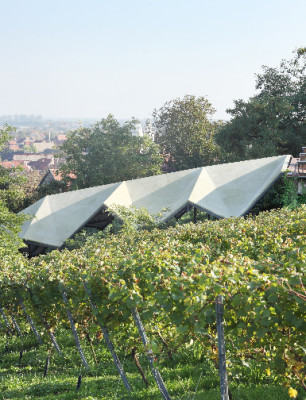 Weingut Schnell in Guntersblum