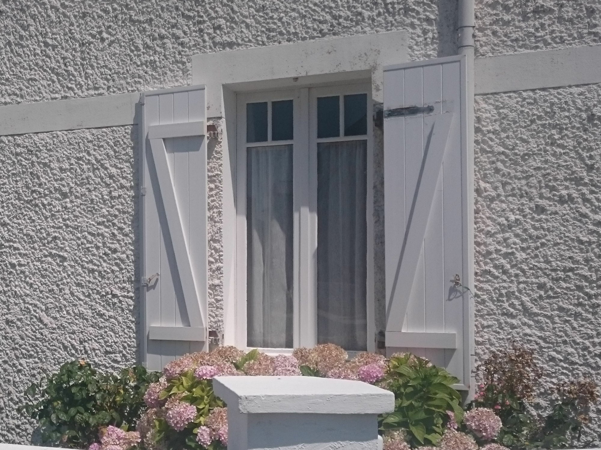 Weiß gestrichener Fensterladen: am rechten Flügel ist das Aufschraub Ladenband sichtbar.