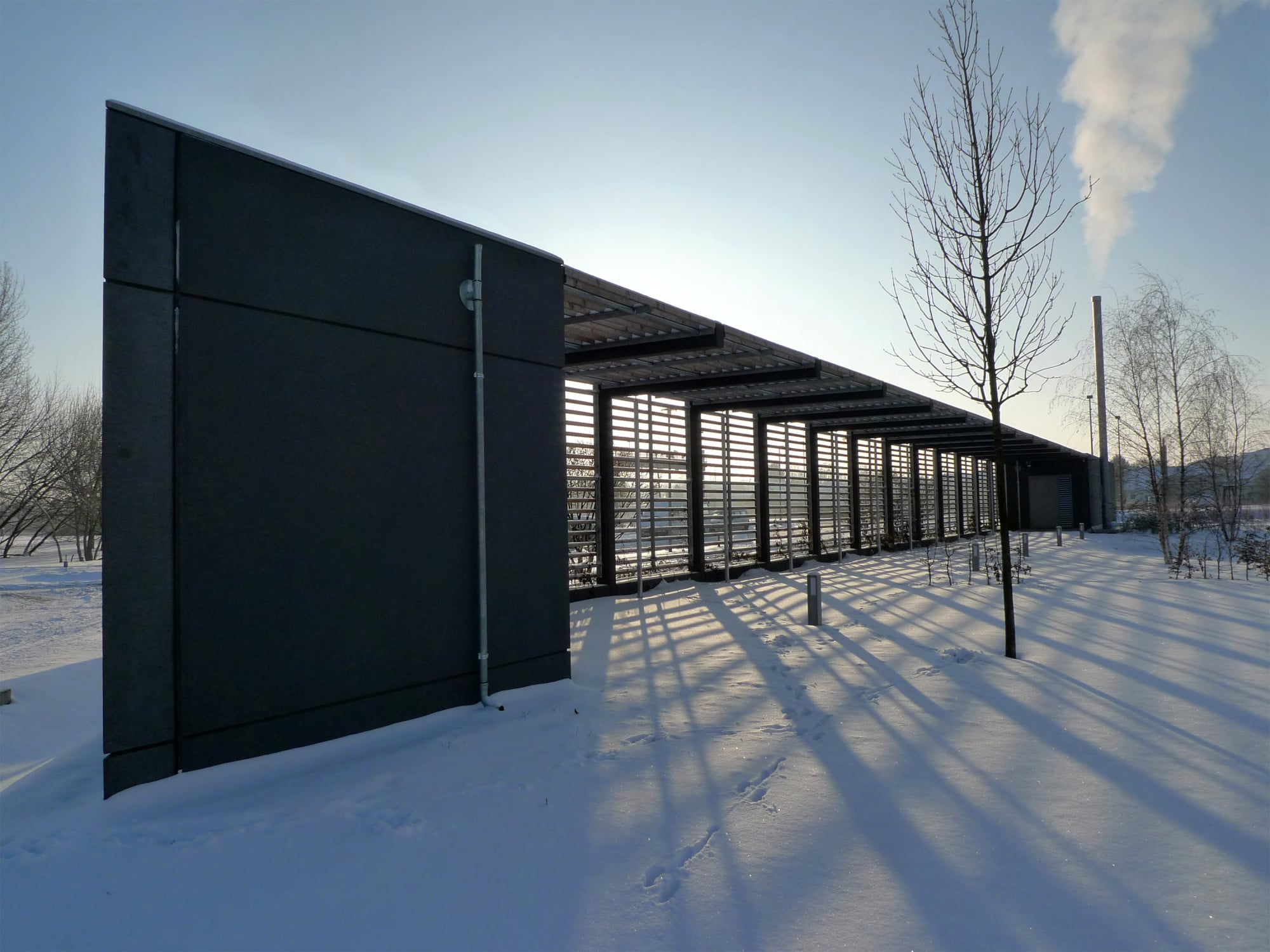 Die Pergola soll im Sommer begrünt werden